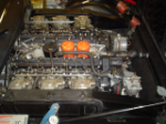 3268783_42.jpg (click to enlarge)