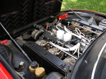 P015Web.jpg (click to enlarge)