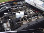 4206478_8.jpg (click to enlarge)