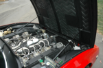 DSC_0056.jpg (click to enlarge)